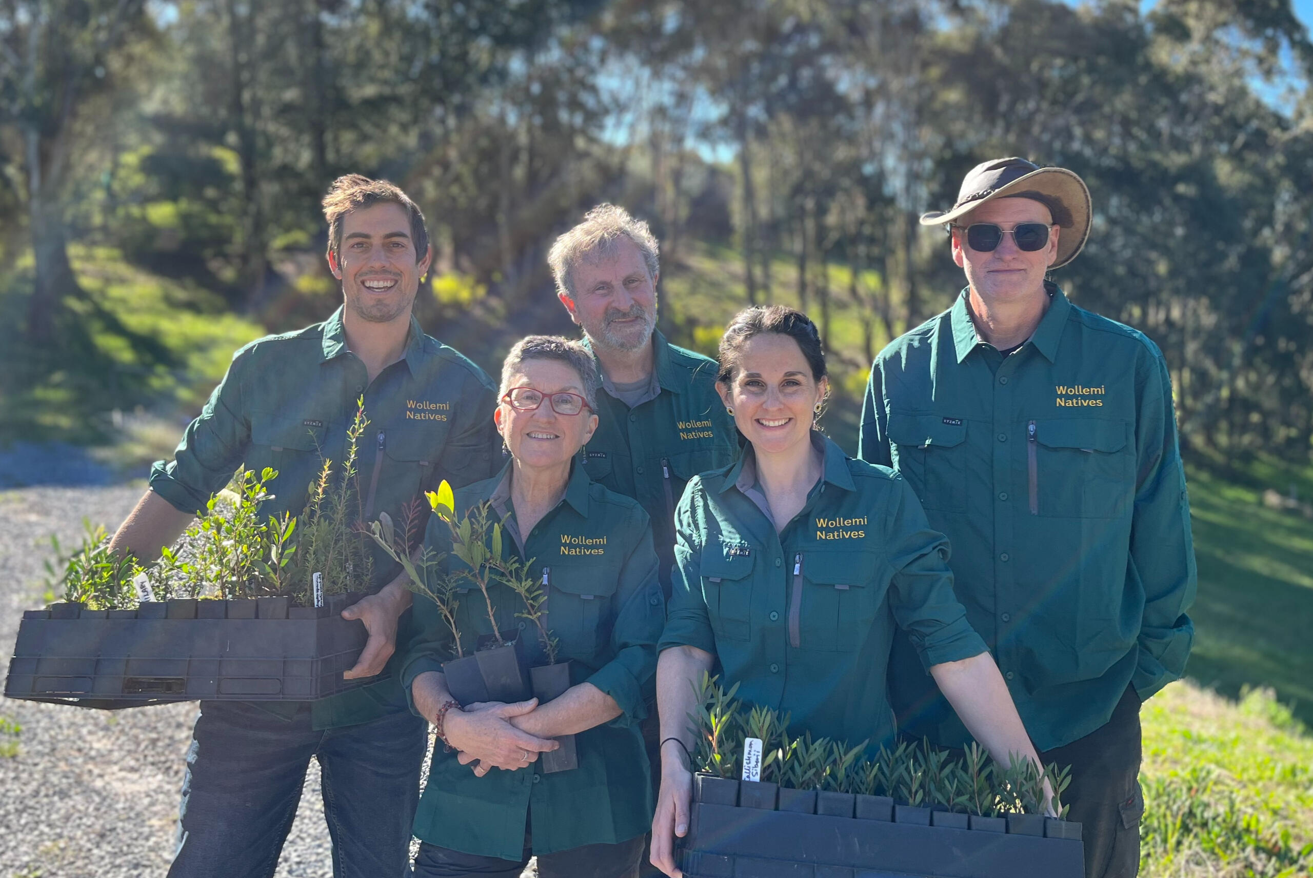 The Wollemi Team
